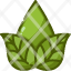 waterleaf-sustainability-plant-leaves-ecology-drop-nature-wellness-water-icon