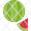watermelon-food-fruit-healthy-fresh-icon