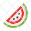 watermelon-fresh-organic-eco-food-berry-icon