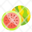 watermelon-fruit-food-organic-vegetarian-icon