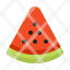 watermelon-fruit-spring-season-nature-food-health-icon