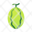watermelon-healthy.fruit-icon