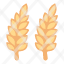 wheat-agriculture-crop-farm-grain-harvest-plant-icon