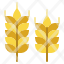 wheat-barley-branch-leaves-nature-icon