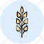 wheat-flour-crop-aggriculture-farming-food-icon