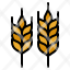wheat-grain-cereal-branch-seed-icon