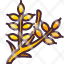 wheat-icon