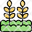 wheat-icon