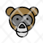 wild-animal-face-monkey-pet-domestic-icon