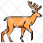 wildlifeanimal-deer-forest-nature-wild-mammal-icon