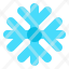 winter-snowflake-icon