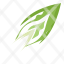 witlof-chicory-leaves-vegetable-food-endives-icon