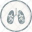 worldwide-covid-vaccine-anatomy-lung-lungs-organ-icon