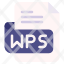 wps-file-type-format-extension-document-icon