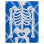 x-ray-medical-skeleton-bones-anatomy-icon