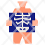x-ray-radiology-xray-medical-hospital-icon