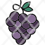 zinfandel-grapes-food-healthy-fresh-sweet-icon