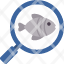 zoology-fish-magnifying-animal-education-icon