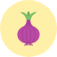 food-healthy-onion-organic-vegetable-icon