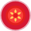 tomato-icon