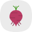 beet-root-raw-vegetable-vegetarian-ingredient-gardening-icon