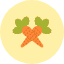agriculture-carrots-food-vegetables-icon