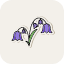 bellflower-blossom-bluebell-flower-freshness-summer-icon