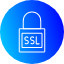 ssl-secure-sockets-layer-encryption-data-security-certificate-https-ssl/tls-protocol-icon-icon