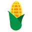 corn-food-vegetable-maize-icon