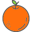 food-fruit-fruits-healthy-orange-icon