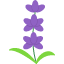 aromatherapy-flower-herbs-lavender-linear-peppermint-flowers-icon