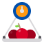 fruit-scales-icon