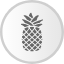 apple-fruit-oragnic-pine-vegetable-icon