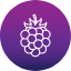 berry-blackberry-food-fruit-raspberry-icon