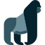 gorila-icon