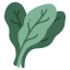 spinach-leaf-diet-healthy-food-vegetable-icon