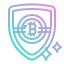 shield-protection-cryptocurrency-token-currency-icon