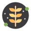 grow-leaf-nature-plant-icon