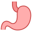 stomach-icon