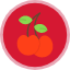sour-berry-cherry-fruit-food-organic-vegan-icon