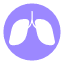 lugs-health-organ-medicine-respiratory-anatomy-icon