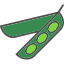 bean-food-legume-pea-pod-vegetables-icon