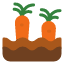 carrot-plant-vegetable-agriculture-farming-icon