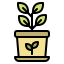 ecology-plant-tree-growth-agriculture-icon