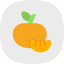 citrus-fruit-orange-clementine-tangerine-organic-sweet-icon