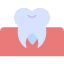 molargum-dental-tooth-molar-hygiene-icon-icon