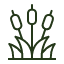reeds-grass-leaf-nature-plant-reed-park-lake-sedge-rush-cane-icon