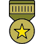military-badge-armyaward-experience-soldier-icon-icon
