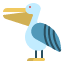 ocean-pelican-bird-animal-wildlife-nature-icon