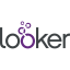 looker-icon